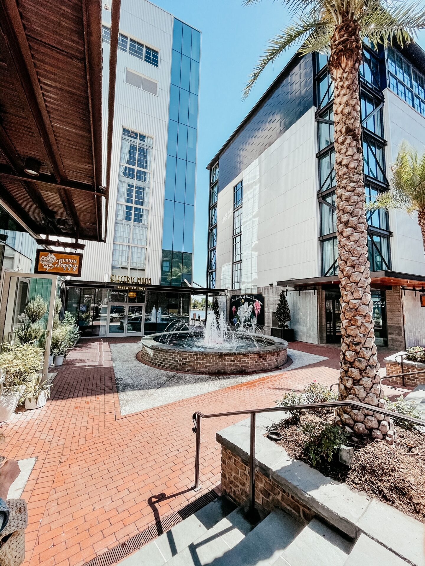 Girls Getaway by popular Nashville travel blog, Hello Happiness: image of Electric Moon, a fountain and a palm tree. 