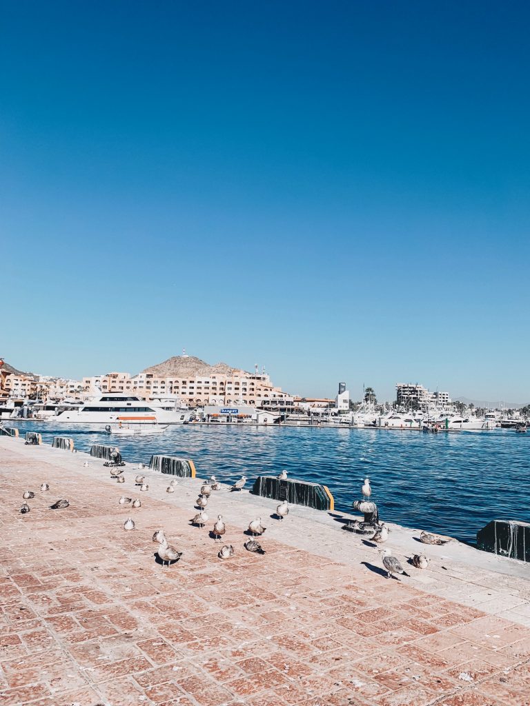 Things to Do in Cabo San Lucas featured by top US travel blog Hello! Happiness
