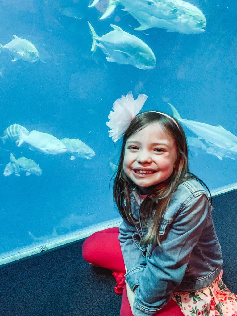 Charleston Travel Guide featured by top US travel blog Hello! Happiness