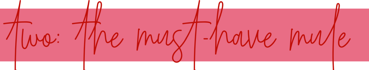 top 5 fall shoe trends featured by top Nashville fashion blogger, Hello Happiness.